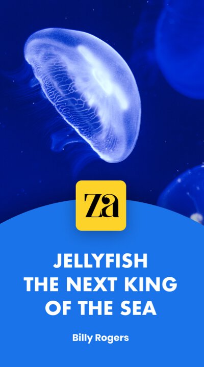 Google Stories Landing Clone